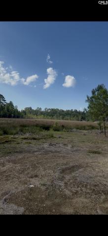 Duck Pond Road Gaston SC 29053