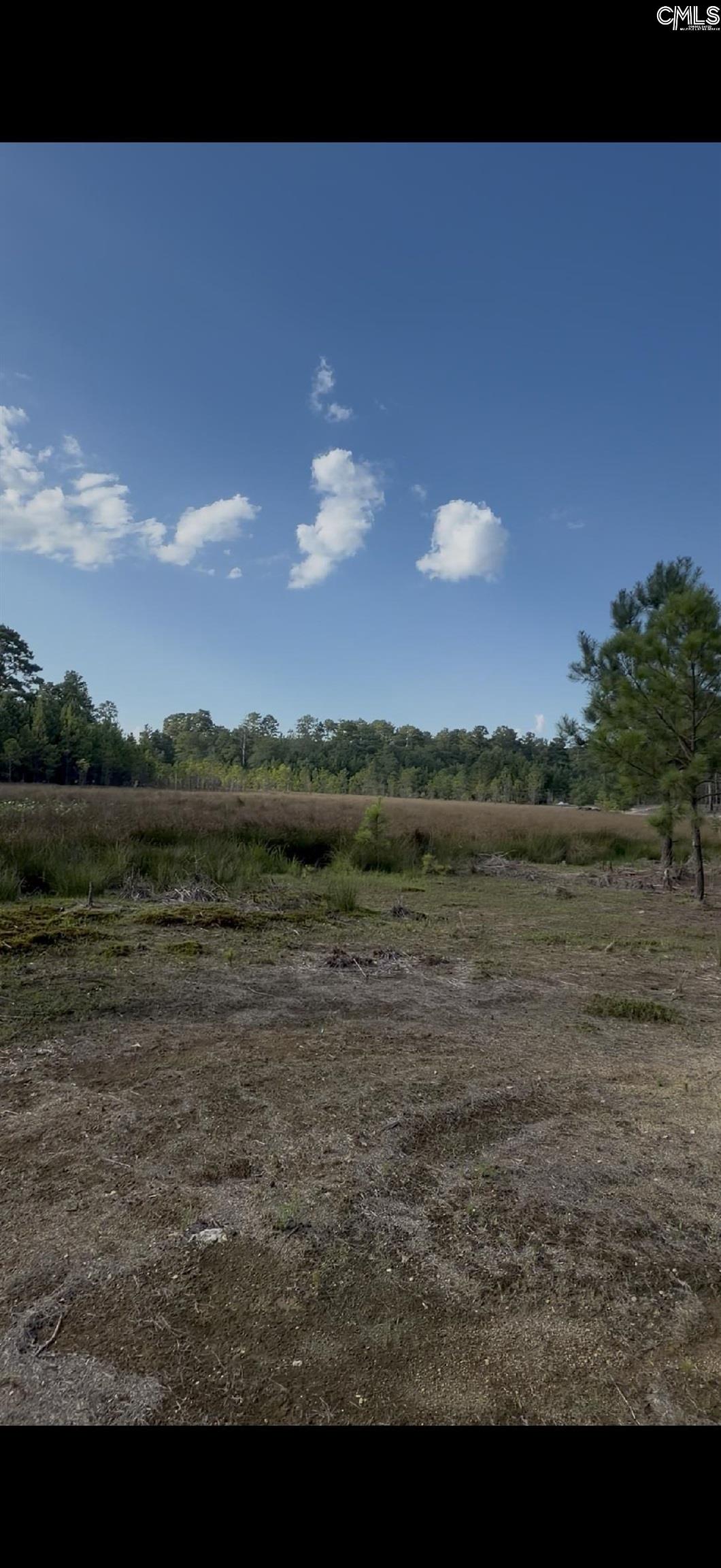 Duck Pond Road Gaston SC 29053