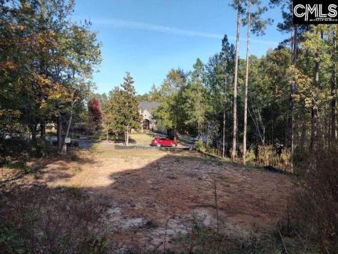 1013 Coogler Crossing Drive Blythewood SC 29016