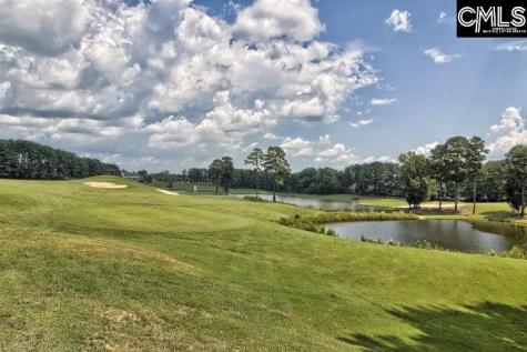 1013 Coogler Crossing Drive Blythewood SC 29016