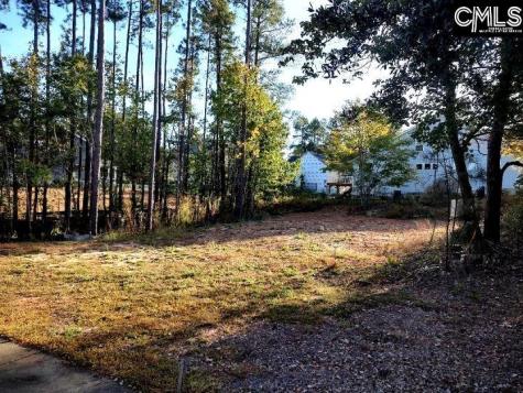 1013 Coogler Crossing Drive Blythewood SC 29016