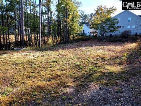 1013 Coogler Crossing Drive Blythewood SC 29016