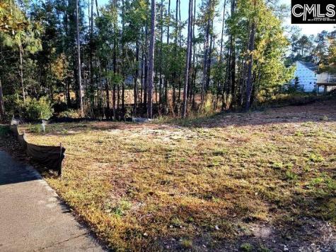 1013 Coogler Crossing Drive Blythewood SC 29016