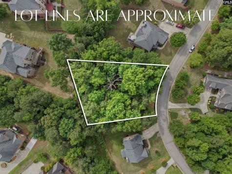 612 Winding Hickory Court Blythewood SC 29016