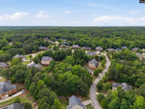 612 Winding Hickory Court Blythewood SC 29016