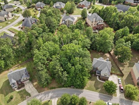 612 Winding Hickory Court Blythewood SC 29016
