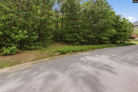 612 Winding Hickory Court Blythewood SC 29016