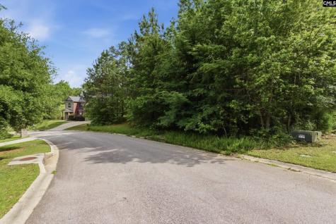 612 Winding Hickory Court Blythewood SC 29016