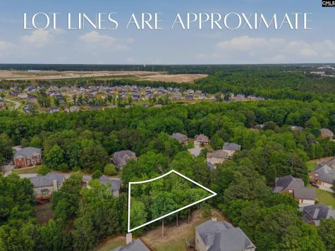 612 Winding Hickory Court Blythewood SC 29016
