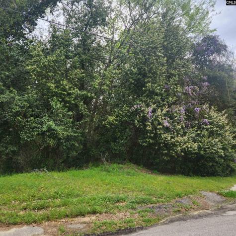 6430 Norris Street Columbia SC 29209