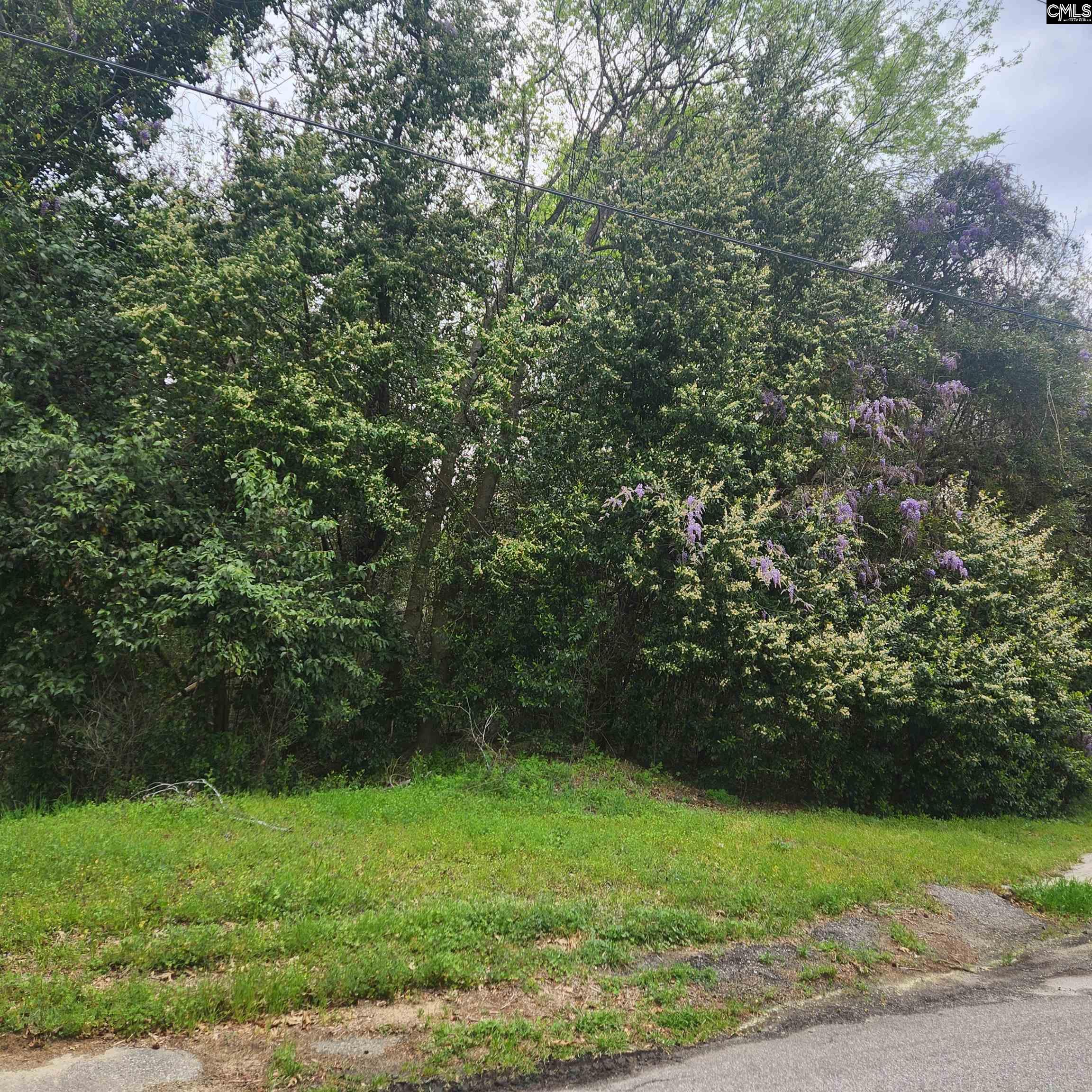 6430 Norris Street Columbia SC 29209