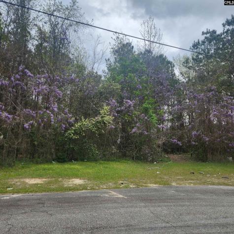 6430 Norris Street Columbia SC 29209
