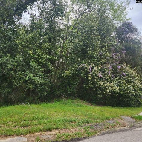 6430 Norris Street Columbia SC 29209