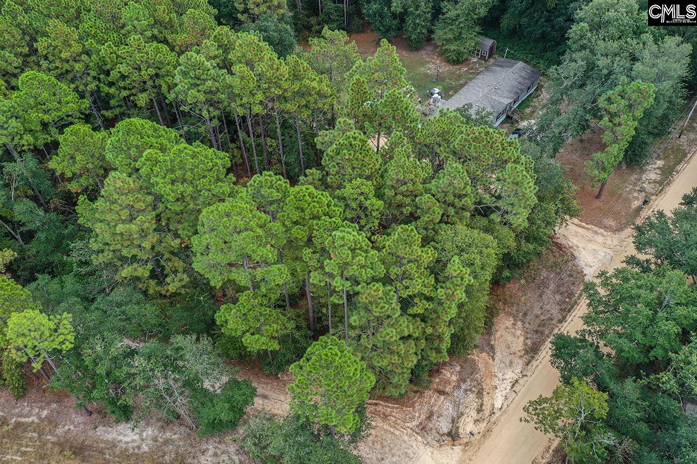 Mimosa Drive Gaston SC 29053