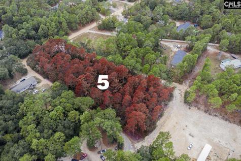 Mimosa Drive Gaston SC 29053