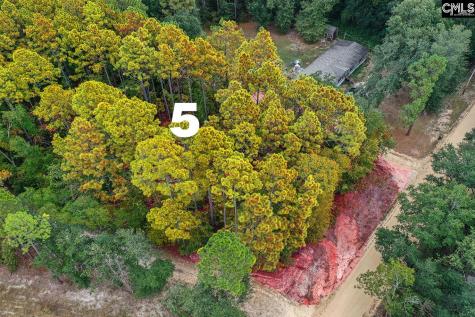 Mimosa Drive Gaston SC 29053