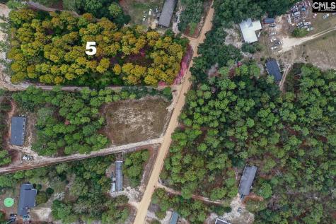 Mimosa Drive Gaston SC 29053