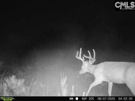 0000 N Brewington Manning SC 29102