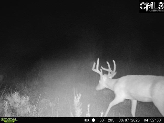 0000 N Brewington Manning SC 29102