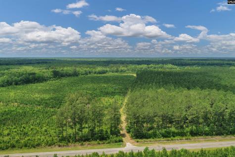 0000 N Brewington Manning SC 29102