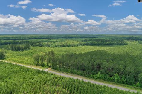 0000 N Brewington Manning SC 29102