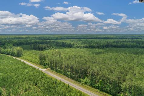 0000 N Brewington Manning SC 29102