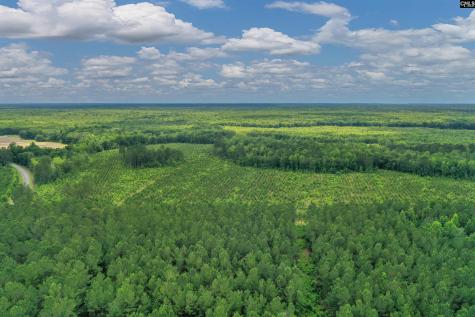 0000 N Brewington Manning SC 29102