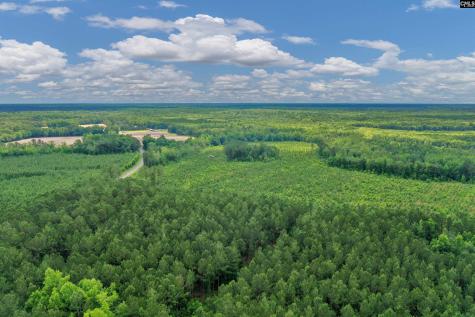 0000 N Brewington Manning SC 29102