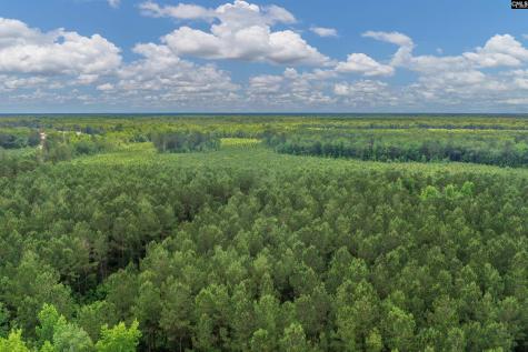 0000 N Brewington Manning SC 29102