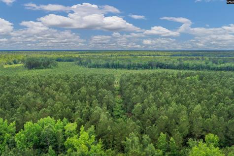 0000 N Brewington Manning SC 29102