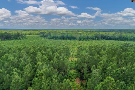 0000 N Brewington Manning SC 29102