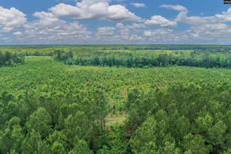 0000 N Brewington Manning SC 29102