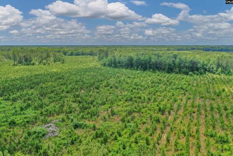 0000 N Brewington Manning SC 29102