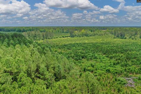 0000 N Brewington Manning SC 29102