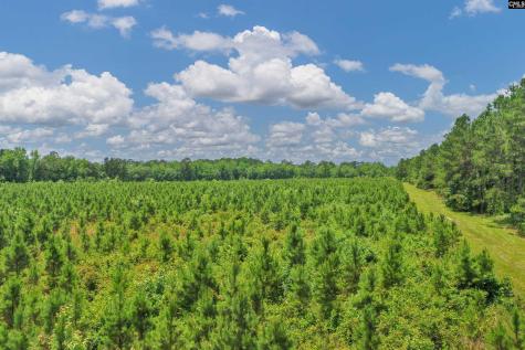 0000 N Brewington Manning SC 29102