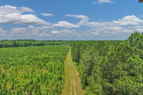 0000 N Brewington Manning SC 29102