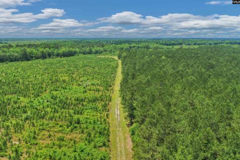 0000 N Brewington Manning SC 29102