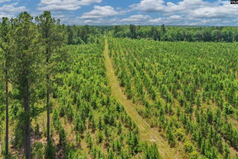 0000 N Brewington Manning SC 29102