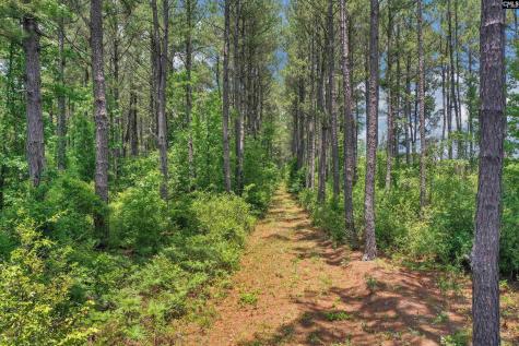 0000 N Brewington Manning SC 29102