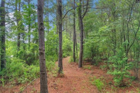 0000 N Brewington Manning SC 29102