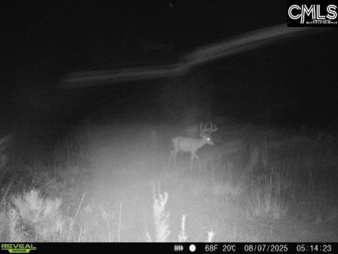 0000 N Brewington Manning SC 29102