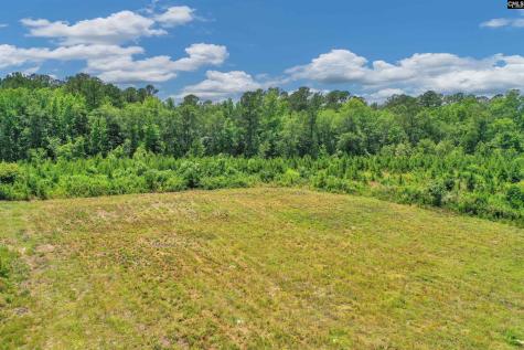 0000 N Brewington Manning SC 29102