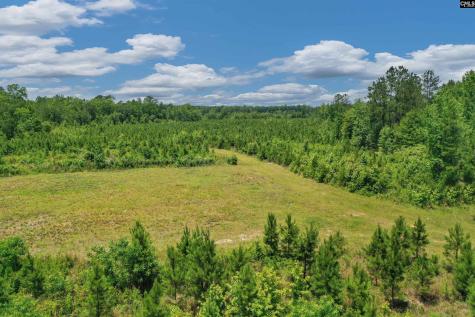 0000 N Brewington Manning SC 29102