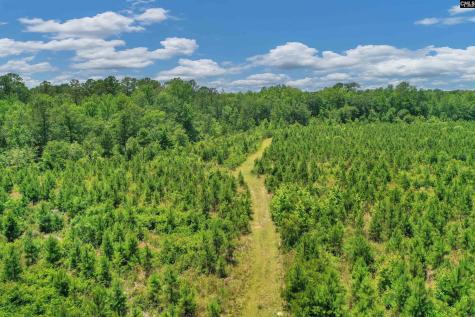 0000 N Brewington Manning SC 29102