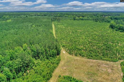 0000 N Brewington Manning SC 29102