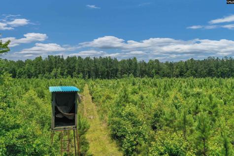 0000 N Brewington Manning SC 29102