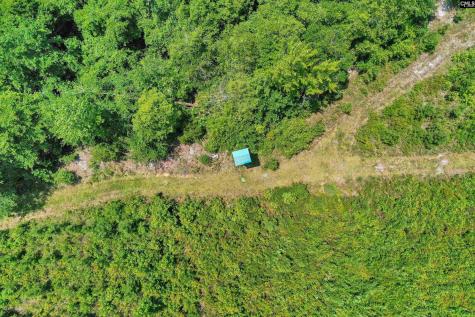 0000 N Brewington Manning SC 29102