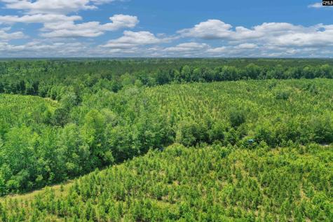 0000 N Brewington Manning SC 29102