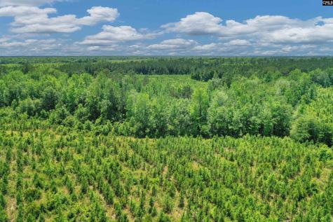 0000 N Brewington Manning SC 29102