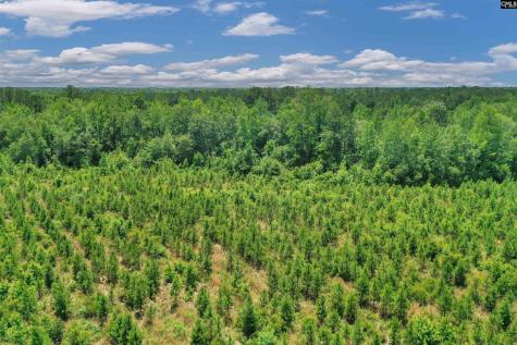 0000 N Brewington Manning SC 29102